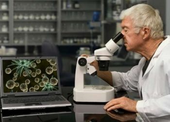 Ученые доказали связь микробиомы с каждой определенной семьей