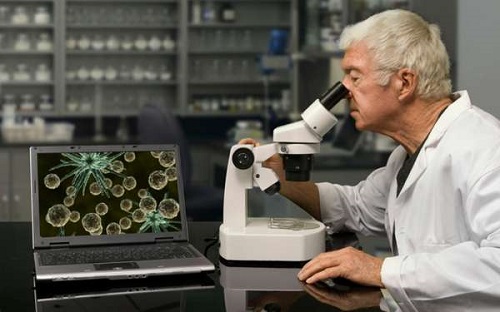 Ученые доказали связь микробиомы с каждой определенной семьей