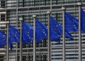 Евросоюз не будет признавать выборы в «ЛНР» и «ДНР»