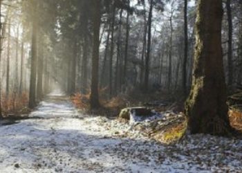 Раскрыты основные правила езды в осенние заморозки