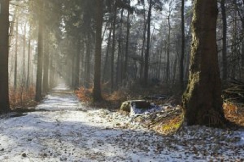 Раскрыты основные правила езды в осенние заморозки