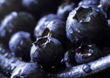 Названы продукты, которые необходимо употреблять каждый день
