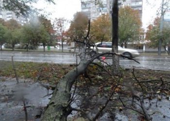 В Мариуполе на море зафиксировали 10-балльный шторм