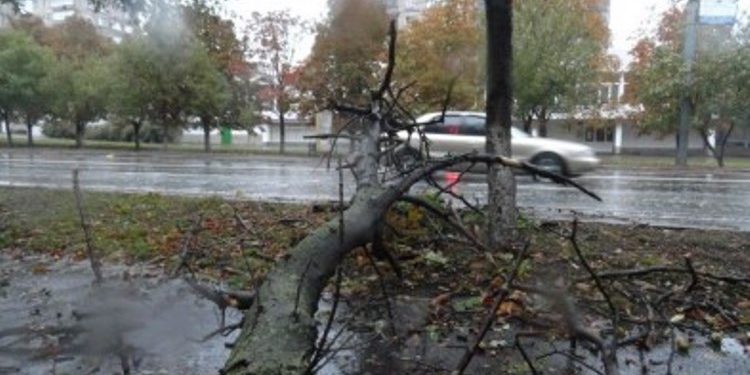 В Мариуполе на море зафиксировали 10-балльный шторм