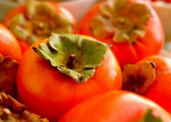 Названы продукты, которые лечат не хуже антибиотиков
