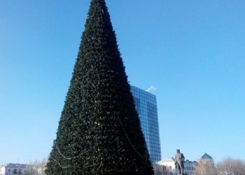 В центре Донецка появилась новогодняя елка