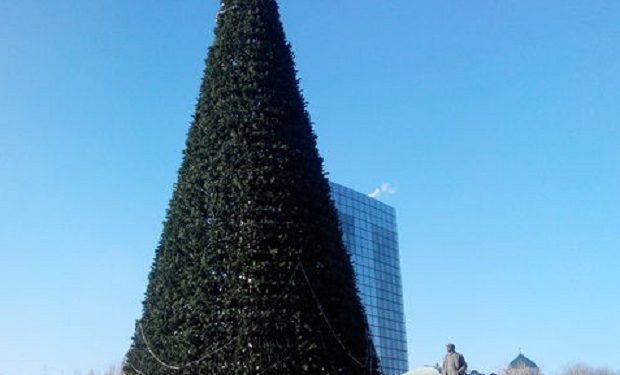 В центре Донецка появилась новогодняя елка
