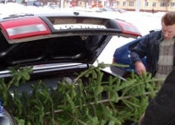 Судебные приставы забрали у должника новогоднюю елку и радар-детектор