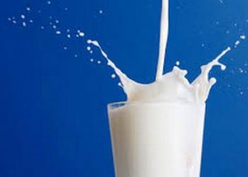 Учение назвали продукт, способствующий похудению