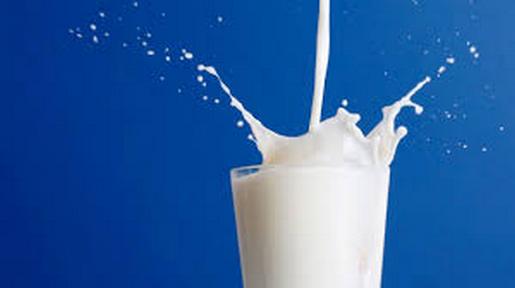 Учение назвали продукт, способствующий похудению