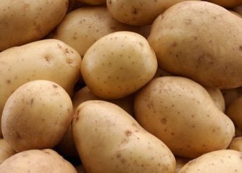Ученые: картошка диетический продукт