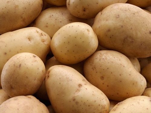 Ученые: картошка диетический продукт