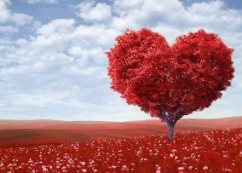 Ученые утверждают, что любовь является опасной болезнью