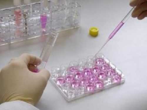 Ученые нашли уникальное средство от старения и рака