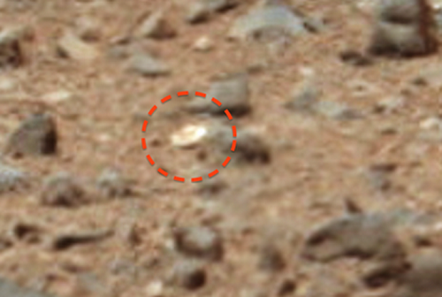 На Марсе найдена золотая летающая тарелка