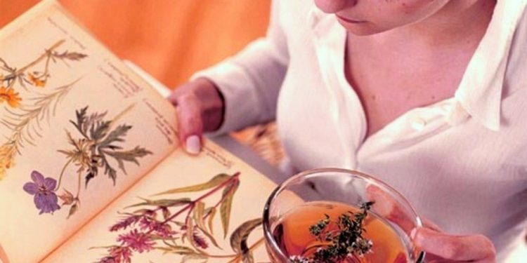 Стало известно, как могут влиять народные средства на действие лекарств