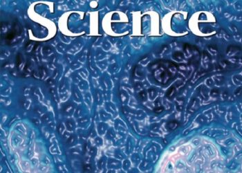 Названы самые прорывные открытия года по версии журнала Science