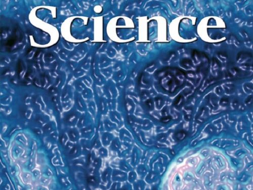 Названы самые прорывные открытия года по версии журнала Science