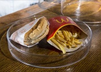 Житель Исландии показал шестилетний бургер из McDonald's