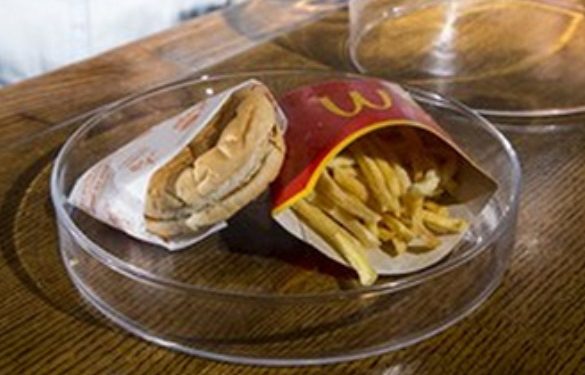Житель Исландии показал шестилетний бургер из McDonald's
