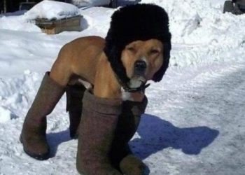 Ощущением холода можно заразиться