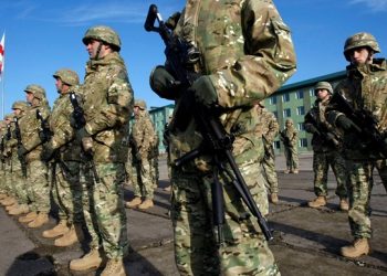 Грузия разрешила своим гражданам воевать на стороне Украины