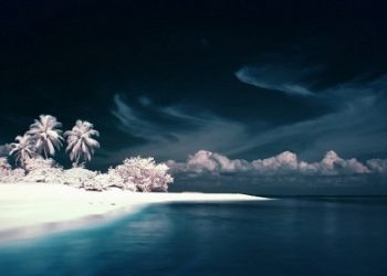Ученые считают, что потепление изменит облик северных лесов