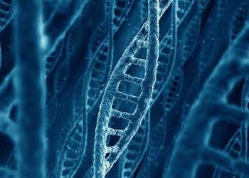 Обнаружен новый метод определения продолжительности жизни