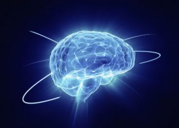 Эксперты выяснили, как вернуть память людям, пережившим инсульт