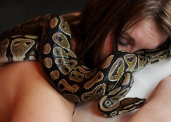 Зоопарк на Филиппинах предложил посетителям пройти процедуру массажа пятиметровими питонами