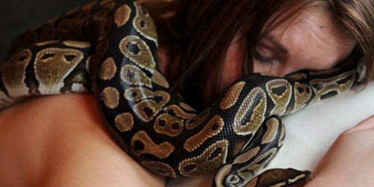Зоопарк на Филиппинах предложил посетителям пройти процедуру массажа пятиметровими питонами