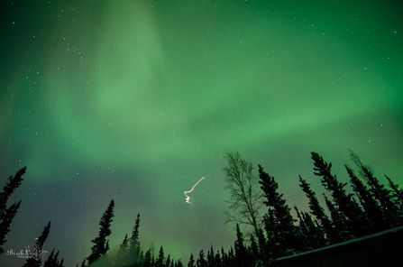 В сети появилось невероятное видео с запуском ракеты Nasa в северное сияние