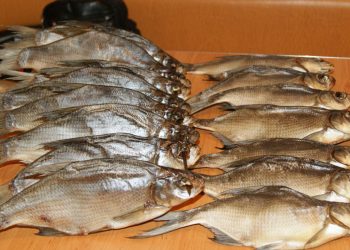Ученые сказали, сколько рыбы и орехов можно есть аллергикам