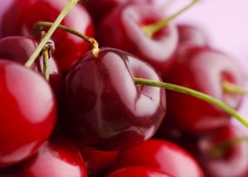 Медики: вишня поможет не болеть
