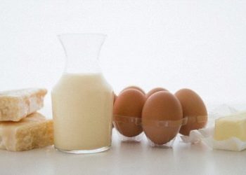 Специалисты: жирная пища поможет похудеть