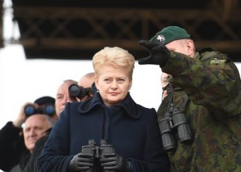 Президент Литвы призвала граждан быть готовым к защите своей земли