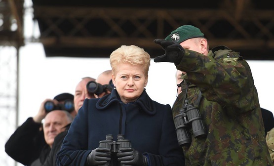 Президент Литвы призвала граждан быть готовым к защите своей земли