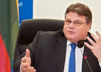 Министра иностранных дел Литвы тошнит от «озабоченности» Запада
