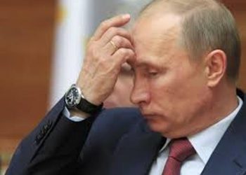 СМИ: Путин дал команду «Отбой»