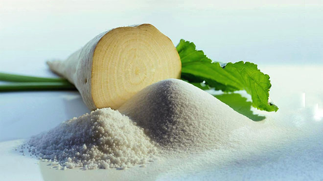 Найдено необычное свойство сахарной свеклы
