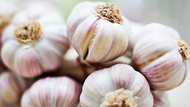 Названы продукты, которые помогают избавиться от запаха чеснока