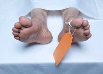 Врачи планируют использовать кожу покойников для лечения ран