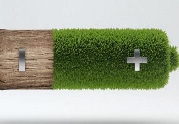 Учеными созданы аккумуляторы из дерева