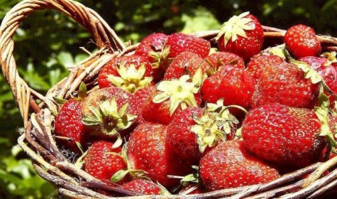 В Японии продают клубнику со вкусом персика
