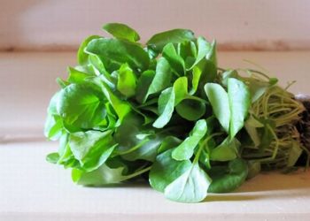 Какие продукты могут подарить красоту