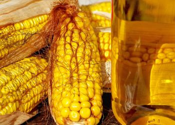 Эксперты рассказали, чем полезно масло кукурузы