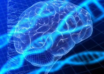 За развитие аутизма отвечают определённые гены