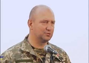 Экс-командир «Айдара» взял на себя вину Савченко
