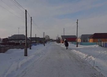 В сети появилось видео с собакой, которая оседлала коня