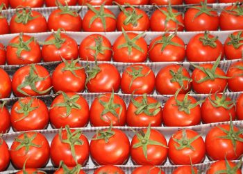 Ученые выяснили, полезны ли органические продукты